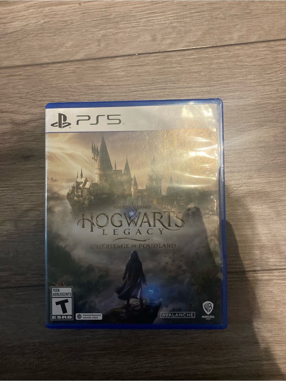 Warner Bros PS5 Hogwarts Legacy